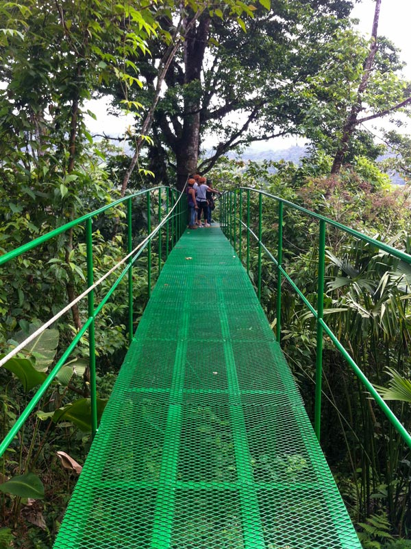 Costa-Rica-Hanging-Bridges